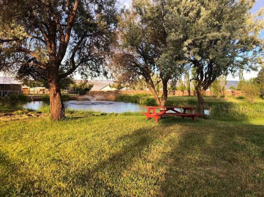 The Charming Cowboy House Villa Елънсбърг Екстериор снимка
